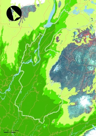 haedarlinur_Hekluskogar