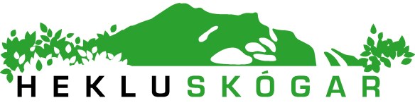 Hekluskogar a hvitu litil