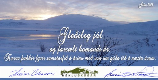 Jólakort_2008